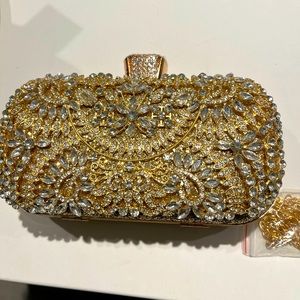 Gorgeous evening clutch